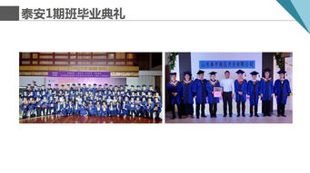 共享单车浮沉启示录 企业运营如何借鉴艺术策展思维